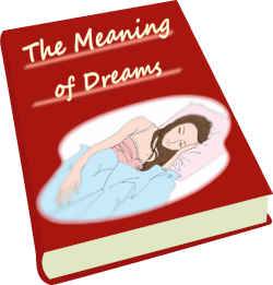 Book The Meaning of Dreams