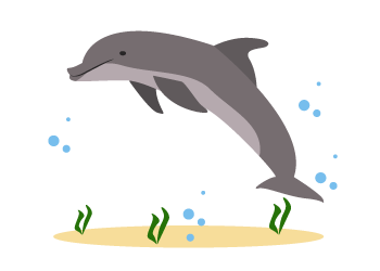 der Delfin
