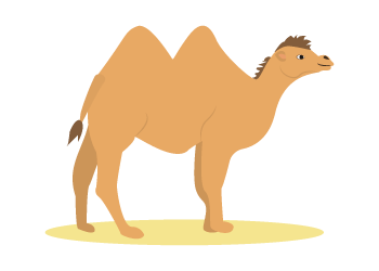 das Kamel