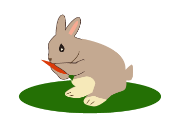 das Kaninchen