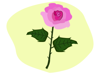 die Rose