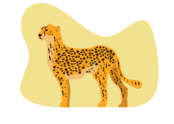 der Gepard