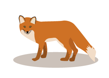 der Fuchs