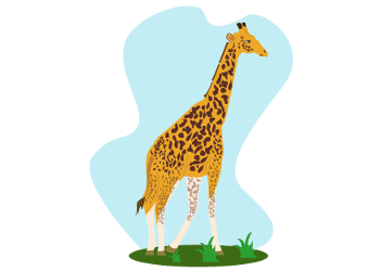 die Giraffe
