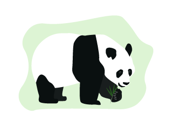 der Panda