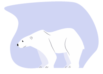 der Polarbär