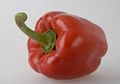 bell pepper